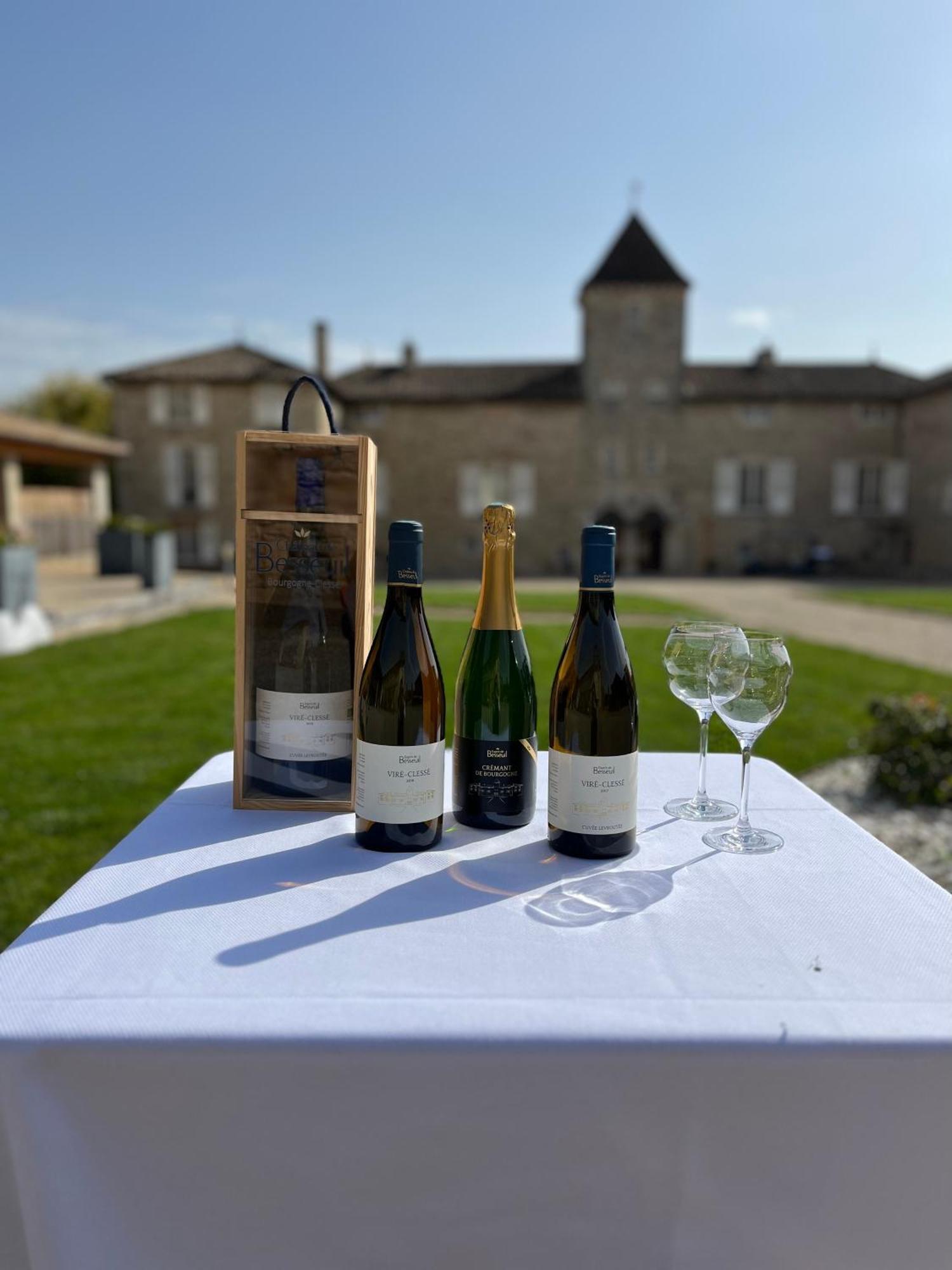 Hotel-Restaurant Le Chateau De Besseuil, Macon Nord - Teritoria Clessé المظهر الخارجي الصورة